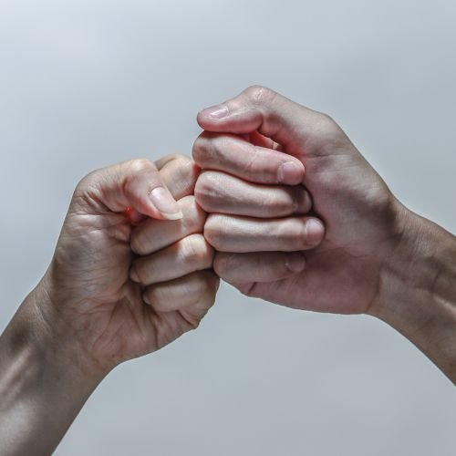 Parcerias Estratégicas entre Empresas Locais e Administradores: Modelos de Cooperação que Geram Resultados Parcerias Estratégicas entre Empresas Locais e Administradores: Modelos de Cooperação que Geram Resultados